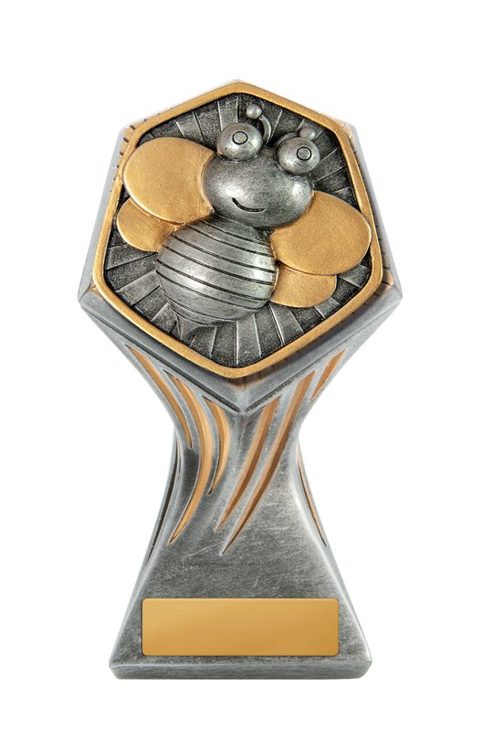 Knowledge Schools Trophy 125mm