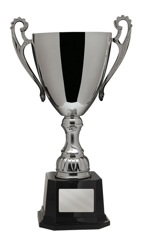 Achievement Silver Cup 277mm