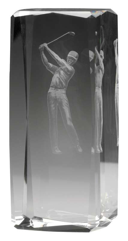 Hologram Male Player