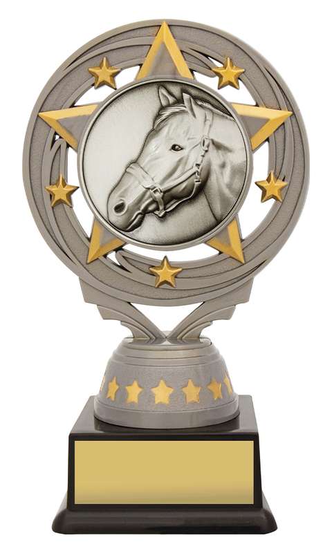 Silver Torch