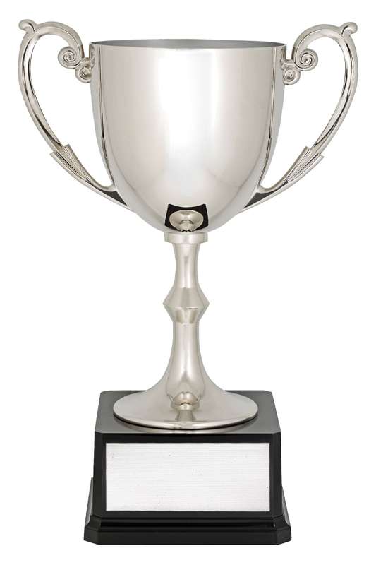 Recognition Cups