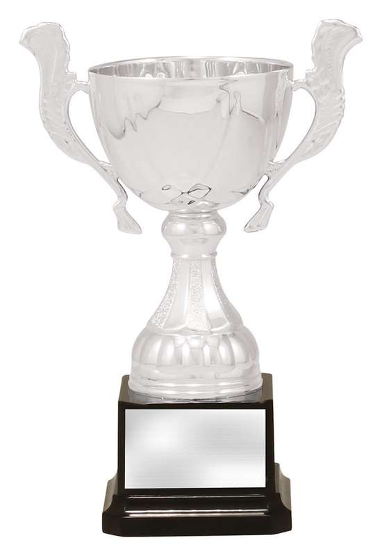 Silver Turin