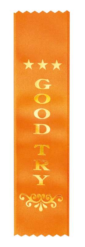 200mm x 50mm – Good Try