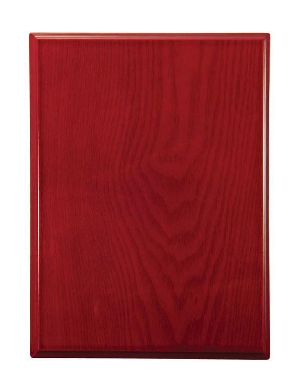 Plaque All Sports 250mm